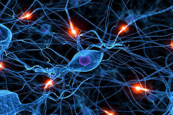 Comprehensive Neuropathies Panel