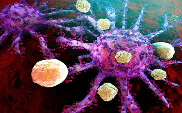 Deciphering the Role of Long Non-Coding RNA in Cancer Research