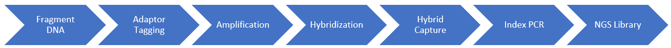 Hybrid Capture Target Enrichment Workflow