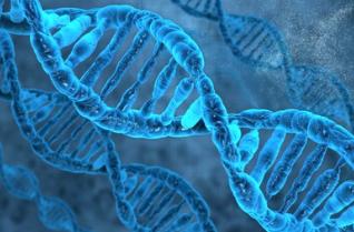 Homologous Recombination Repair HRR Reference Products