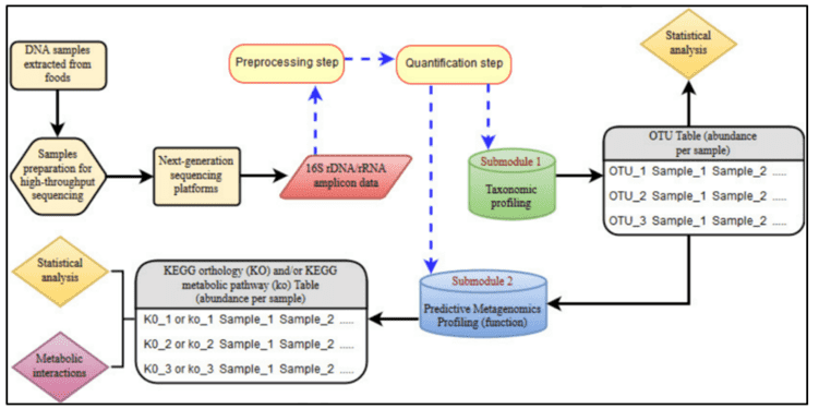 How to Analyze the Amplicon Sequencing Data in Disease Panels