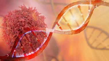 Immune Repertoire Analysis Panel