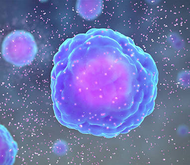 Inflammation & Immunology Panel