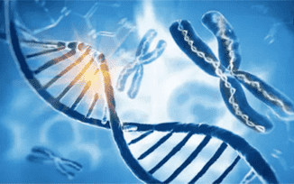 MassARRAY, A High-Precision and Cost-Effective Technology for Cancer Research