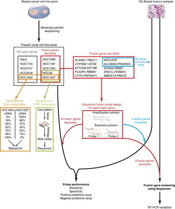 High-throughput detection of fusion genes in cancer using MassARRAY technology.