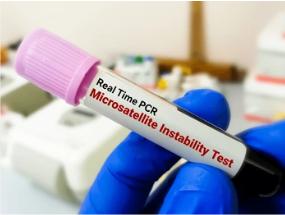 Microsatellite Instability MSI Reference Products