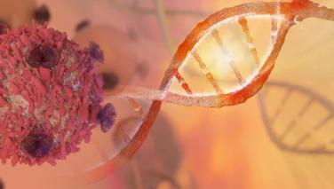 Minimal Residual Disease MRD Reference Products