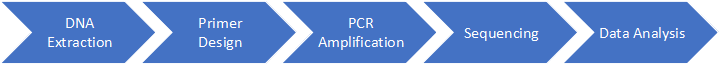 Multiplex SNaPshot Assay Workflow