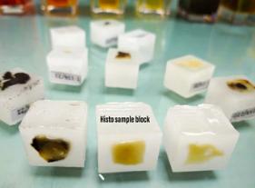 Oncology FFPE Quality Control Products