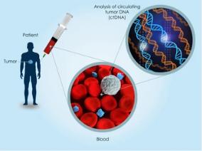 Oncology ctDNA Quality Control Products