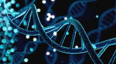 Oncology gDNA Quality Control Products