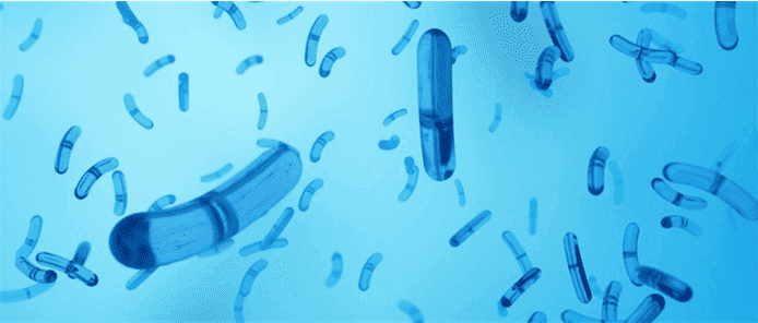 Pathogens Detection
