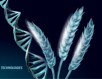 Plant GMO Detection Kits