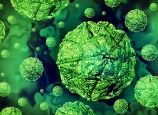 Plant Pathogen Detection Kits