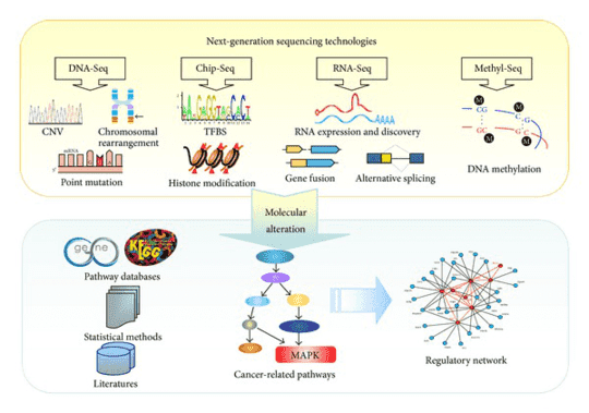 NGS-based pipeline for cancer marker discovery.