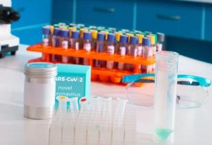 Viral Nucleic Acid Reference Products