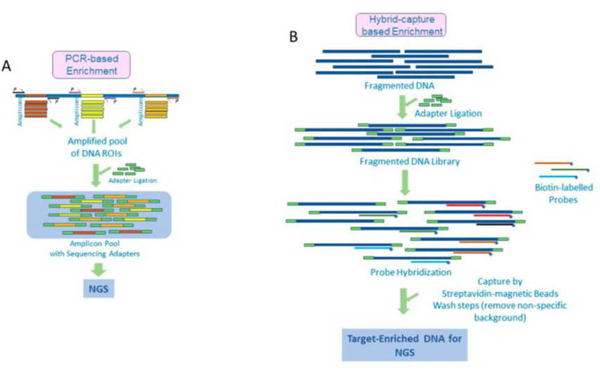 What is NGS Target Enrichment?