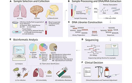 Metagenomic Next-Generation Sequencing (mNGS): How does it work in Pathogen Detection