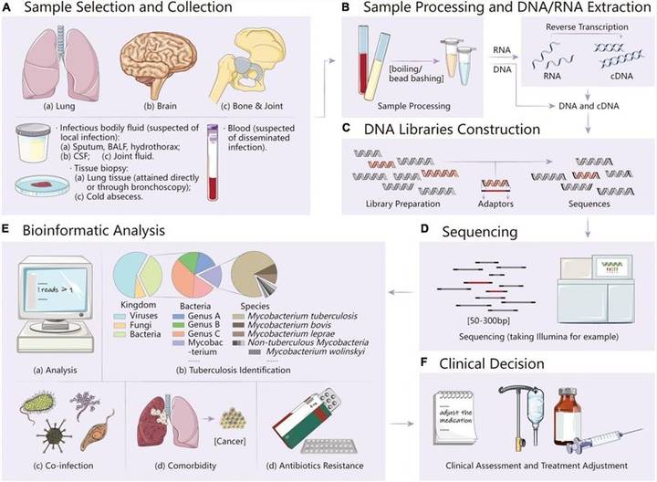 Workflow of mNGS