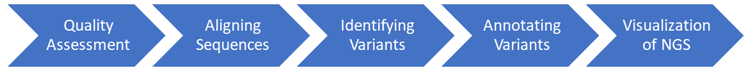 Cancer Genome Analysis Workflow