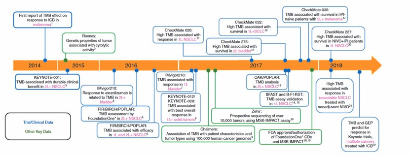 The development of TMB as a biomarker for immunotherapy (Chan, T. A. et al,2019)