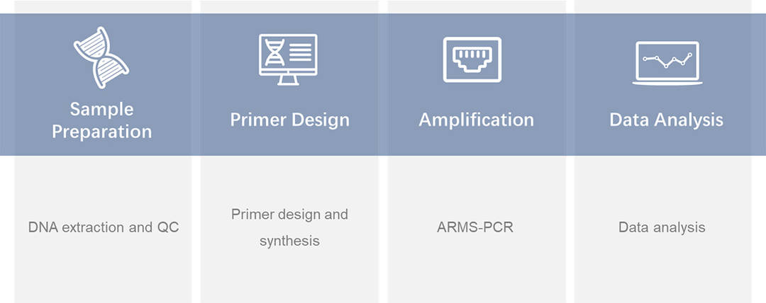Workflow of ARMS-PCR service