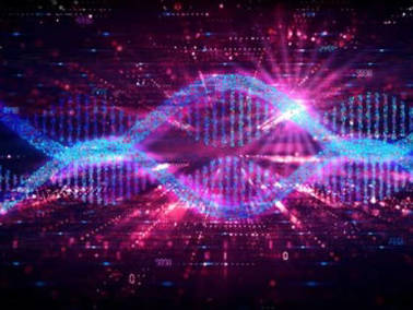 Bioinformatics Analysis Service