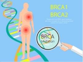 BRCA 1 2 Panel