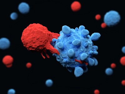 Herpesvirus Detection