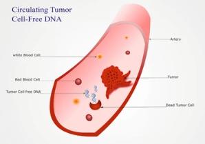 ctDNA NGS Panel for Liquid Biopsy Research
