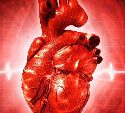 Custom Cardiomyopathy and Skeletal Muscle Diseases Panel 