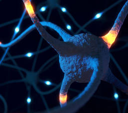 Custom Amyotrophic Lateral Sclerosis Panel