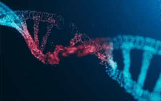 The Detection of Gene Mutations and Diseases by NGS Panel