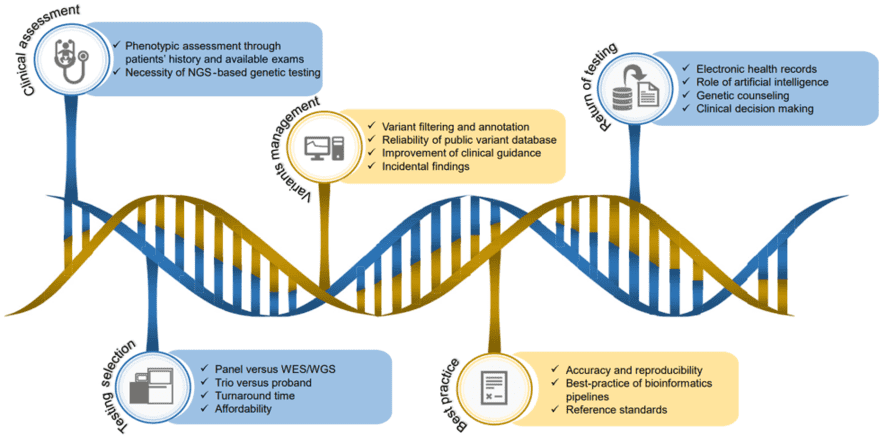 The Workflow of NGS-Based Genetic Testing in Rare Disease Diagnosis.