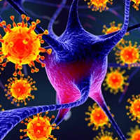 Immunosuppressed & Meningitis