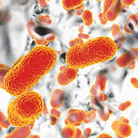 Antibiotic Resistance