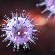 EBV Detection