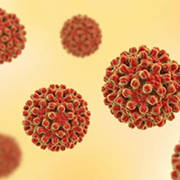 HBV Detection