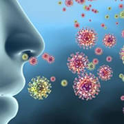 Respiratory Virus Detection
