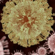 Tropical & Vector-Borne Transmission Diseases