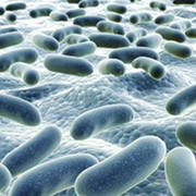 Veterinary & Agricultural Pathogen