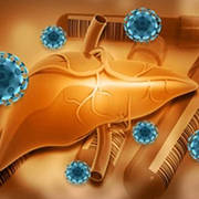 Viral Hepatitis Detection