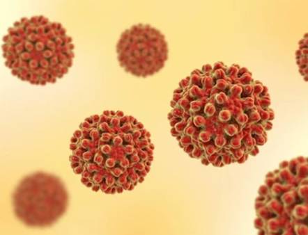 HBV Detection Panels