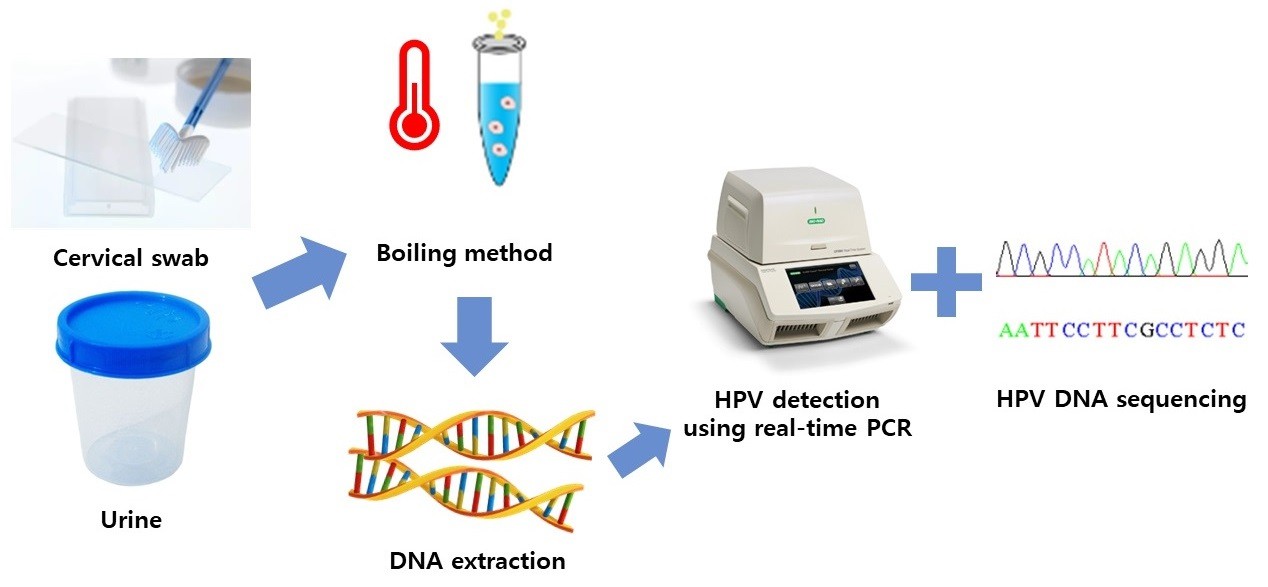 Figure 2. Laboratory setup showing real-time PCR equipment used for HPV detection. 