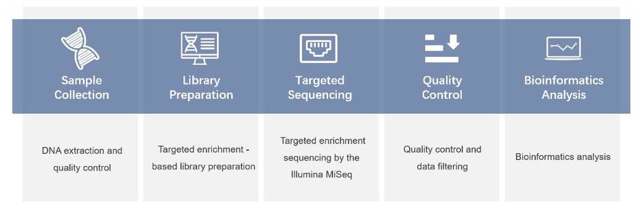 Immuno Oncology Panel