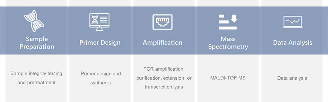 Workflow of MassARRAY service