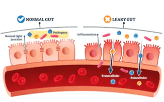 NGS-Based Gastrointestinal Pathogen Panel: Introduction, Sampling Method, and Applications
