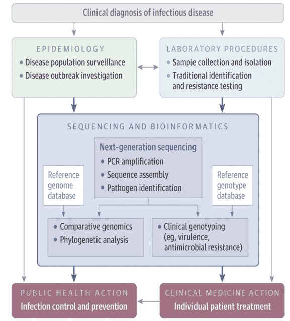 Workflow Converting genome sequence data from pathogens into credible data.