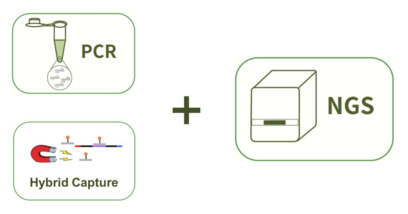 CD Genomics tNGS Technology