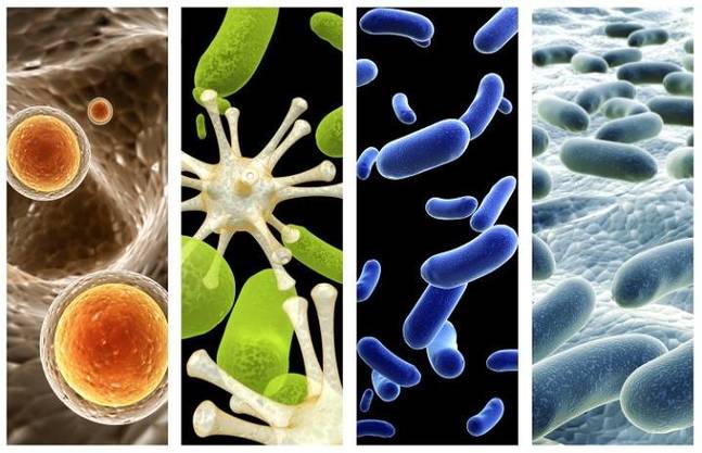 Pathogen Detection Kits